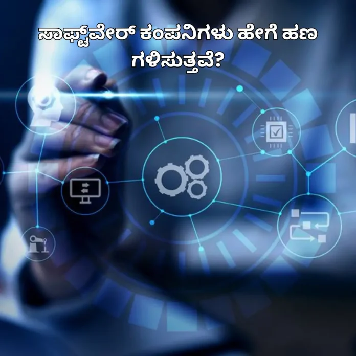 Software Business Model